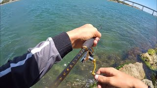 Flounder,whiting,leatherjacket landbased fishing mandurah catch n cook