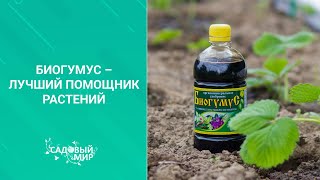 Биогумус – лучший помощник растений