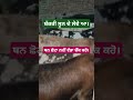 ਧਿਆਨ ਰੱਖੋ