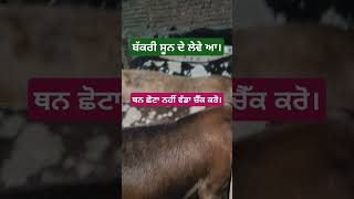 ਧਿਆਨ ਰੱਖੋ