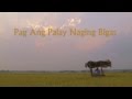 Pag Ang Palay Naging Bigas - Trailer - Lovecatz Studios