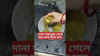 এই অসহ্য গরমে দুপুরের মেনুতে অবশ্যই এই খাবারটা রাখুন। 🥰🥰#shorts