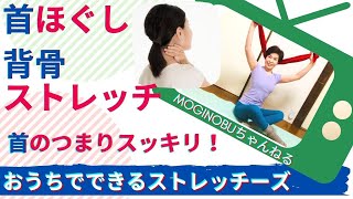 肩.首周りをほぐして、背骨の動きを引き出そう！寒い時、デスクワークが多い時必見〜おうちでできるストレッチーズ〜stretch-eze®︎