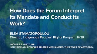 IPRx | 5.1.4 How Does the Forum Interpret Its Mandate and Conduct Its Work?