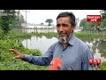 বৃষ্টিপাতে তলিয়ে গেছে আমনের ক্ষেত bogura flood news somoy tv