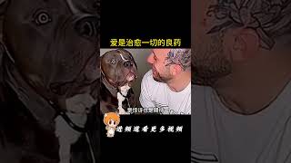 原来爱可以跨越物种，成为治愈一切的良药。 #萌寵 #治愈 #pets