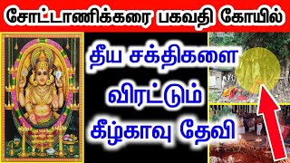 தீய சக்திகளை ஓடவிடும் சோட்டாணிக்கரை பகவதி அம்மன் கோவில் | Chottanikaraa Bhagavathy Amman Temple