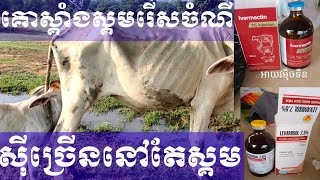 ថ្នាំពីរមុខនេះទំលាក់គ្មានសល់ | អស់បញ្ហារឿងអង្គែ ចៃ ដង្កែ ព្រូនគ្រប់ប្រភេទ