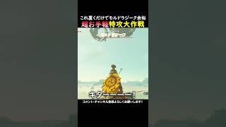 これがあれば戦闘に自信なくてもモルドラジーク余裕で倒せる！#ゲーム実況  #ゼル伝 #zelda #ゲーム #ティアキン