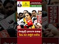 పొత్తుల్లో భాగంగా మాకొచ్చిన సీట్లల్లో అభ్యర్థులను ఖరారు చేశాం daggubati purandeswari l ntv