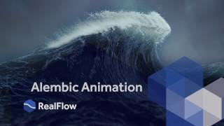 RealFlow 10: Alembic parameters