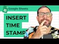 How to Insert Timestamp in Google Sheets