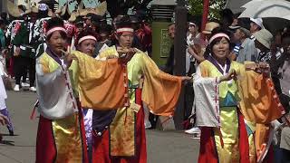 蜷川乱舞桜　よさこいｉｎ福岡町つくりもんまつり２０１７