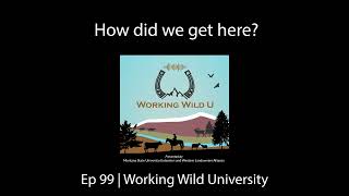 How did we get here? | Ep 99: Working Wild U