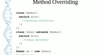 OOP 3 Method Overriding