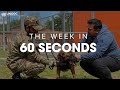 UNODC in 60 seconds - 06.08.2021