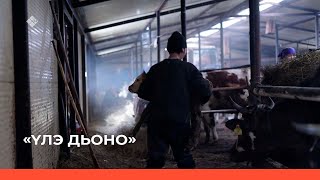 «Үлэ дьоно» биэриигэ: «Илгэ хотун» кээпэрэтиип туһунан (30.04.23)