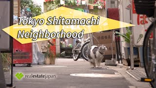 [4K] What my neighborhood in Tokyo looks like