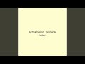 Echo Whisper Fragments