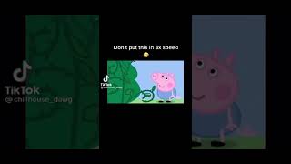 Don T Put This In 3x Speed