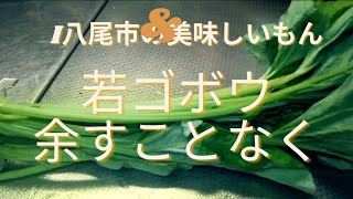 【大阪　八尾市のお野菜】若ゴボウをまるごと料理。余すところなく全部使います。下処理含む。※概要欄