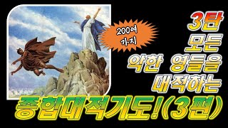 완결편! [대적기도 3탄] 3편. 200여가지 대적기도, 홍광선 목사