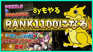 🔴【パズドラ】今夜RANK1100になる！の前に8yのポイントも終わらせよう！【実況ライブ/LIVE】