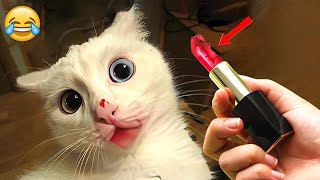 Funniest Animals 😄 New Funny Cats and Dogs s 😹🐶 - Part 13