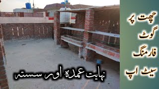 Roof Top Goat Farming setup ll Ghar ki chat per bakri farm