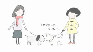 水尻自子の方言アニメ【和歌山】