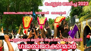 ചേറ്റുവയുടെ മണ്ണിൽ ആവേശം വാരിവിതറി അനന്തനും, ശേഖരനും, അനന്തപത്മനാഭനും || ചേറ്റുവ നേർച്ച 2023 ||