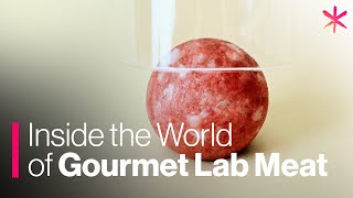 Inside the World of Gourmet Lab Meat | Future of Food