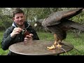 how do animals see the world slice science full documentary