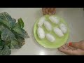 मेरे बच्चे हफ्ते में 3 दिन यही बनवाते हैं आप भी एक बार जरूर बनाएं easy breakfast recipe nashta