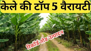 केले की टॉप 5 वैरायटी । केले की टॉप 5 किस्में । केले की खेती ।Banana Farming । Banana Farming india