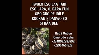 ÌTUMÒ ÀLÁ TÓ PÉYE, +2348032983298, ++2250584811131,+229 0154651928 (2)