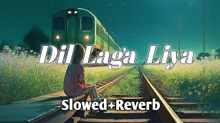 Dil Laga Liya || Lofi Song || Slowed+Reverb ||