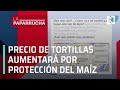 Precio de tortillas aumentará por protección del maíz, la paparrucha del día - Punto y Contrapunto