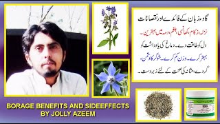 gaozaban kay fayday aor nuqsanat in urdu|borage/star flower benefits and sideeffects by jolly azeem|