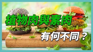 素肉跟植物肉不同？ 關鍵在於這幾點