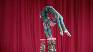 Hand Balancing Contortion The Viva Fest 2017