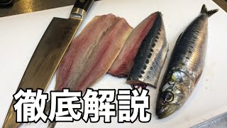 【徹底解説】イワシの捌き方　大名おろし　三枚おろし　イワシの開き【プロが教える魚の捌き方】店長の料理教室　How To Cooking