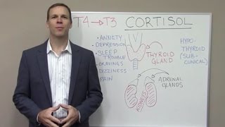 Thyroid Lecture Series: Adrenal Fatigue