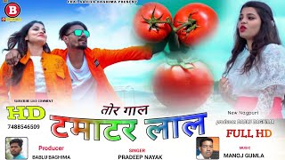 हाय रे तोर गाल टमाटर लखे लाल//New theth Nagpuri video Singer Pradeep Nayak music Manoj Gumla 2021