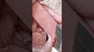 dark 💯pure pink 🩷bar Cleaning video Only water💥dip 🤤 soft #earthy #scraping #satisfying #viralvideo💫