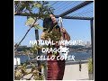 Natural -Imagine Dragons-Cello Cover