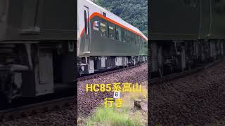 【高山本線】特急ひだキハ85系とHC85系#shorts