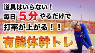 【打率が上がらない選手必見】体幹の反射能力を鍛えよう！