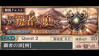 【幻獣契約クリプトラクト】覇者の頂　樹　攻略