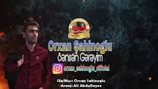 Orxan Sahinoglu - Sensen gereyim 2020